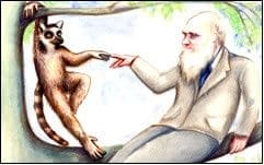 ¿Se equivocó Darwin?