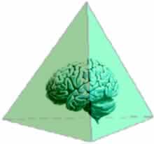 La gestión del conocimiento: el triángulo Joiner o la pirámide Joiner-Arenas