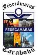 Fedecámaras premió el mejor trabajo sobre la Expo2006
