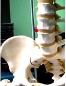¿Cómo evitar el dolor de espalda?