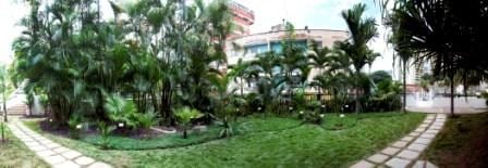 Más de 70 especies conforman el Palmetum del Centro Médico de Caracas