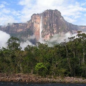 Los 18 mejores bosques del mundo