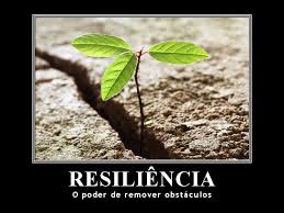 La Resiliencia