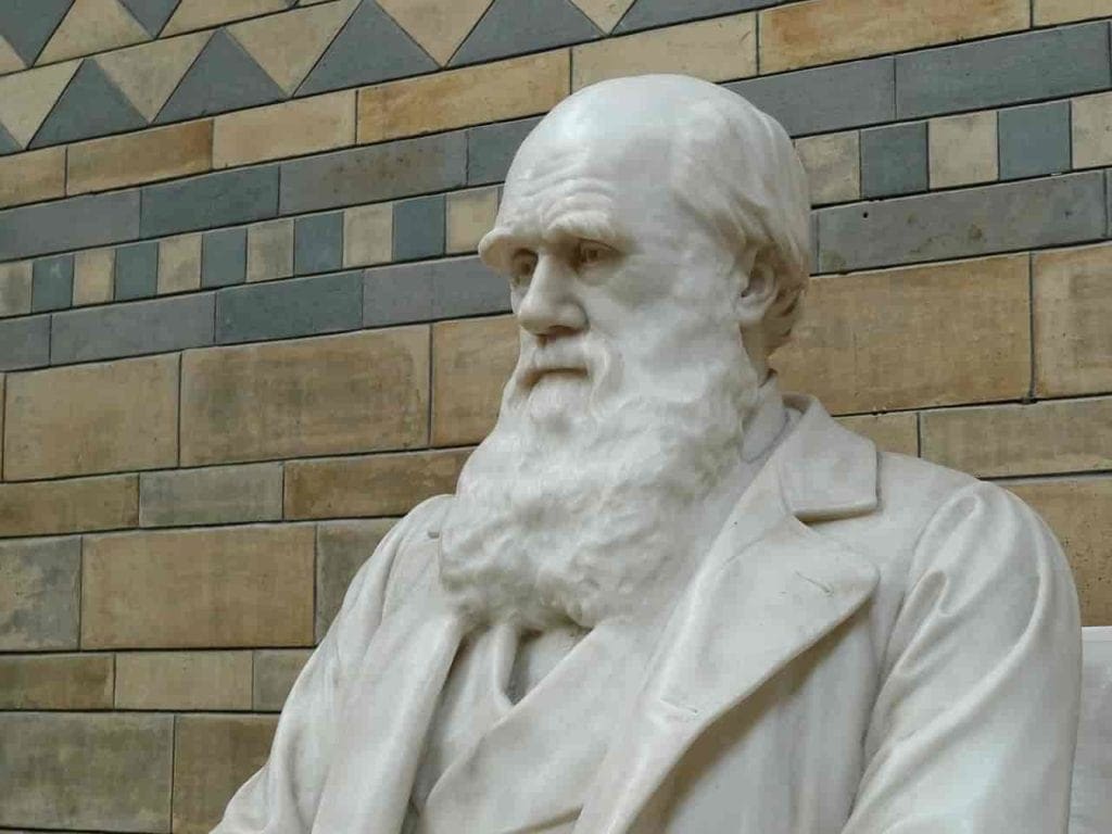 Por qué es posible que Charles Darwin sea uno de los mejores economistas de la historia