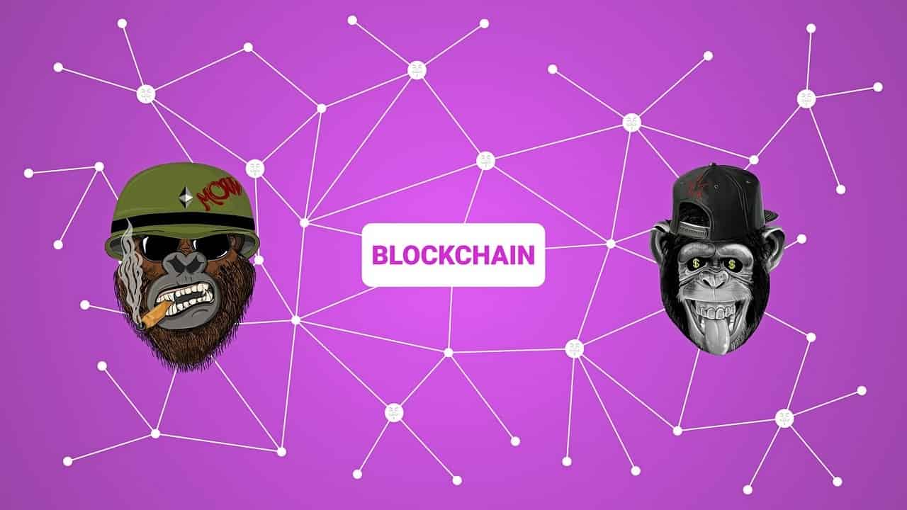 blockchain rosado mono token monkey